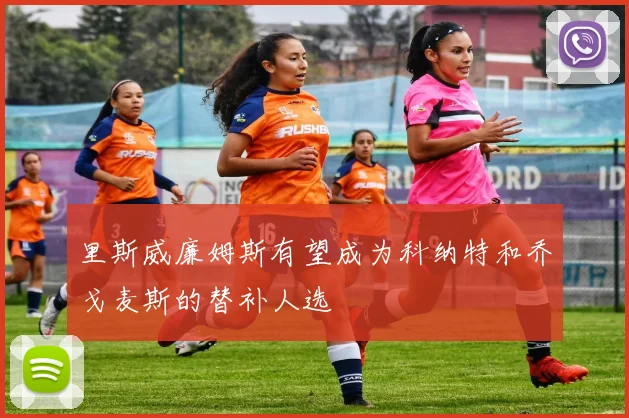 里斯威廉姆斯有望成为科纳特和乔戈麦斯的替补人选