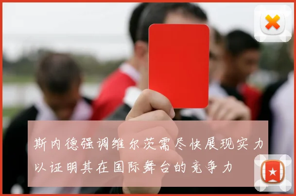 斯内德强调维尔茨需尽快展现实力以证明其在国际舞台的竞争力