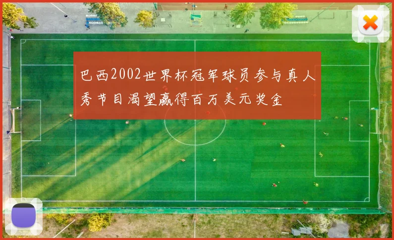 巴西2002世界杯冠军球员参与真人秀节目渴望赢得百万美元奖金